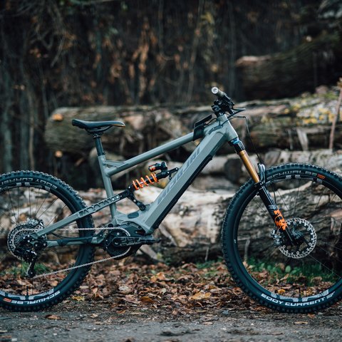 Hotel mit Fahrradverleih in Bayern gesucht? Graues Mountainbike vor Baumstämmen im Wald