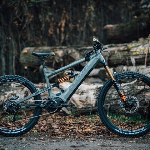 Looking for a hotel with bike rental in Bavaria? Gray mountain bike against tree logs in the forest