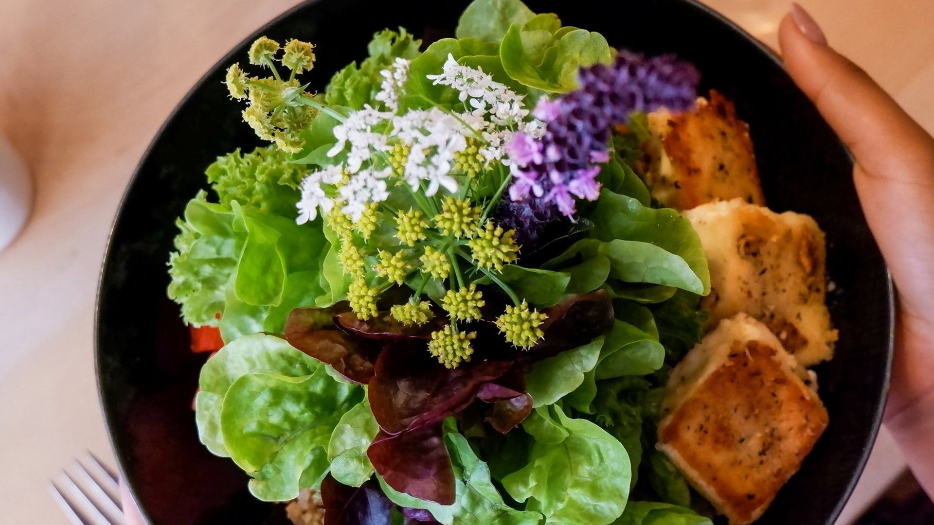 Guesthouse in Parsberg: A salute to great taste Fresh salad with edible flowers and grilled tofu on a black plate