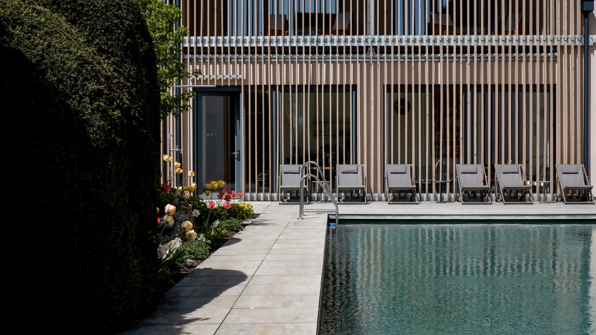 Wellness Outdoor pool with lounge chairs in front of modern building and spring flowers