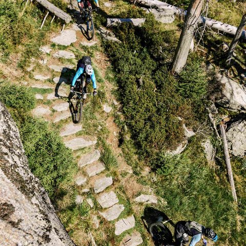 Looking for a hotel with bike rental in Bavaria? Four mountain bikers riding down a rocky trail in a forested mountain area