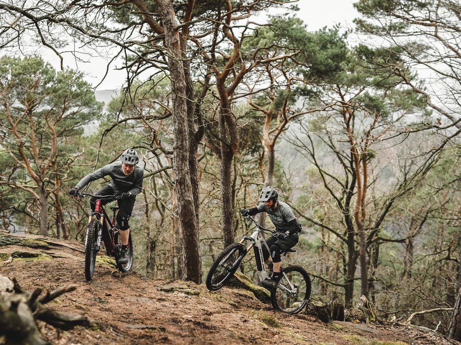 Wandern in der Oberpfalz: Aktiv in der Natur Zwei Mountainbiker fahren durch bewaldetes Gelände auf einem schmalen Pfad
