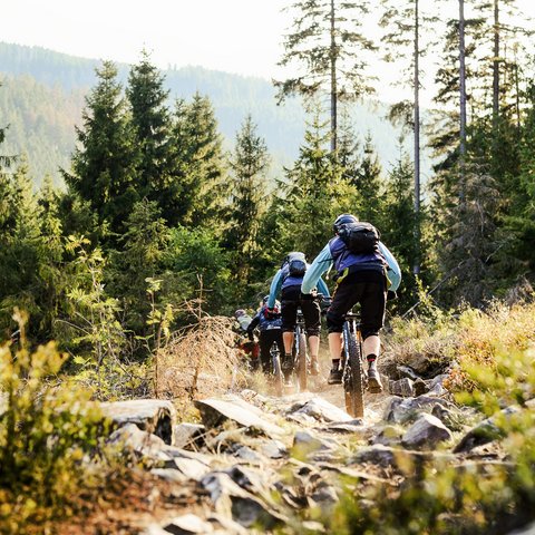 Looking for a hotel with bike rental in Bavaria? Group of mountain bikers riding on a rocky forest trail