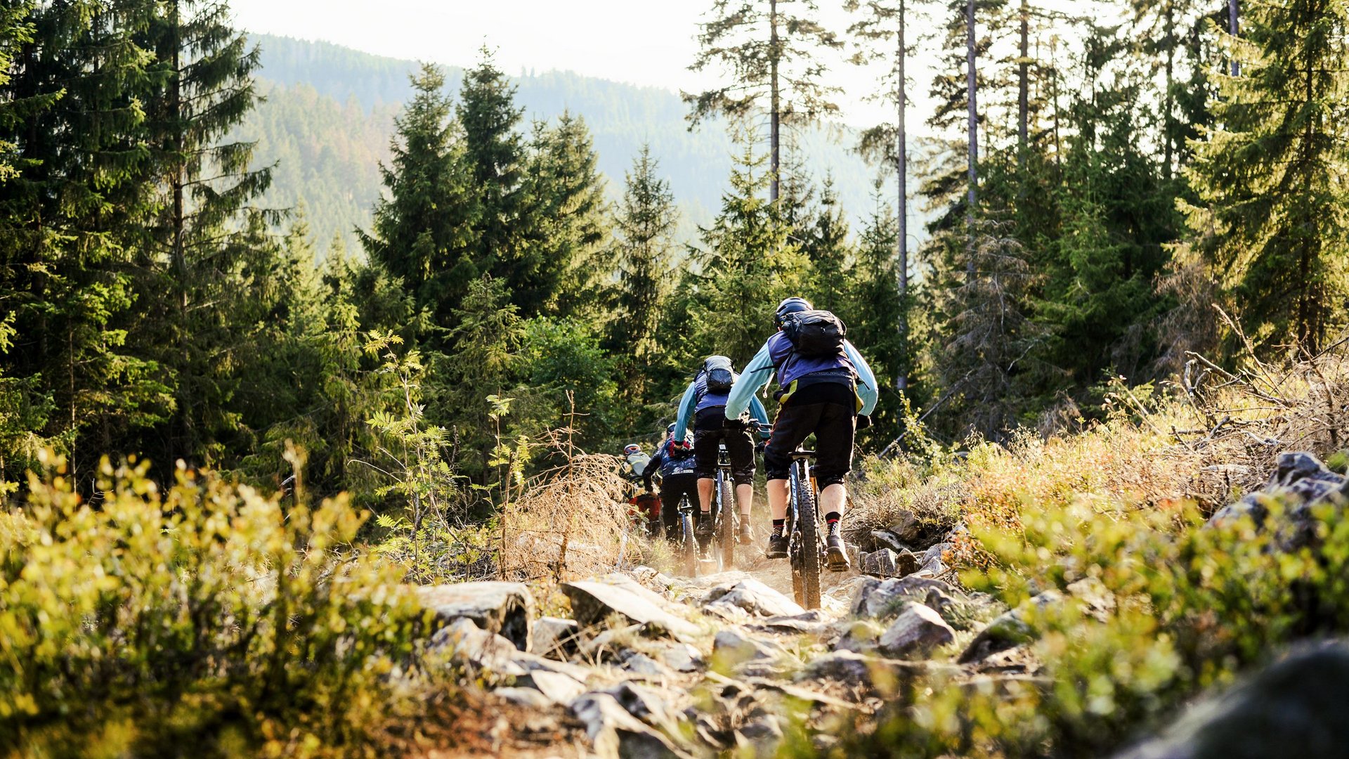Familienhotel Oberpfalz: Hier gibt’s so viel zu erleben! Gruppe von Mountainbikern fährt auf einem felsigen Waldweg