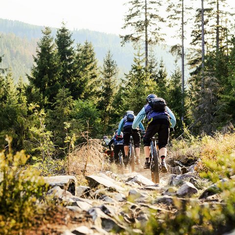 Hotel mit Fahrradverleih in Bayern gesucht? Gruppe von Mountainbikern fährt auf einem felsigen Waldweg
