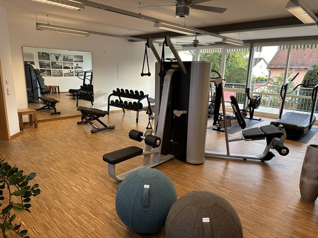 Romantik Hotel Hirschen: picture gallery Modern gym with equipment, dumbbells, and exercise balls by large window