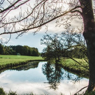 Romantik Hotel Hirschen: Gastgeber & Werte Fluss im Tal mit Bäumen und grünem Gras unter bewölktem Himmel