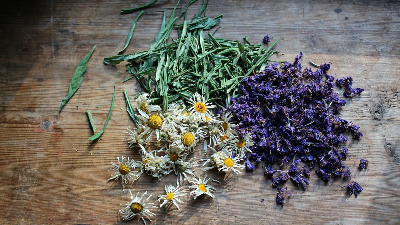 Kräuterwanderung in der Oberpfalz Getrocknete grüne Kräuter sowie violette und weiße Blüten auf einem Holztisch