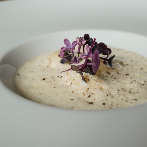 Kulinarik & Genuss in der Oberpfalz Schaumige Suppe mit violetten essbaren Blüten in weißem Teller