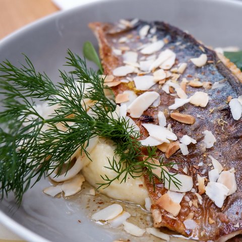 Kulinarik & Genuss in der Oberpfalz Gebratener Fisch mit Mandelblättchen, Dill und Blattspinat auf einem weißen Teller