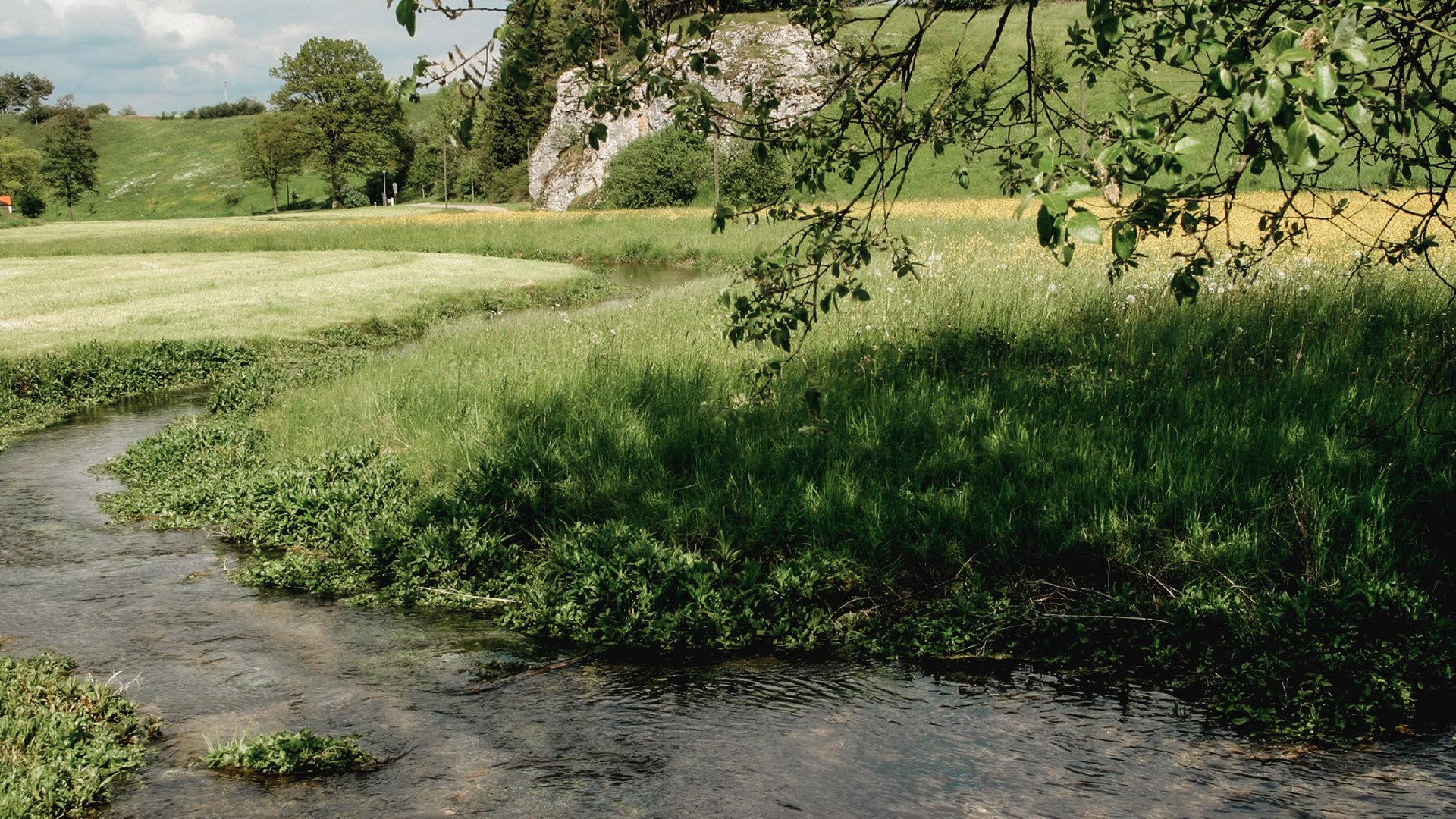 Wandern in der Oberpfalz: Aktiv in der Natur Klarer Bach fließt durch grüne Wiesen mit Bäumen und Felsen im Hintergrund