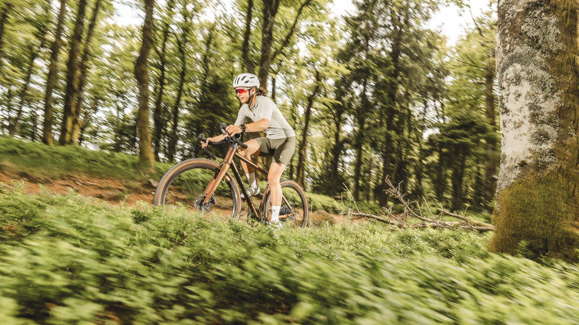 NICOLAI E-Bikes for Your Tour Through the Upper Palatinate NICOLAI E-Bikes for Your Tour Through the Upper Palatinate