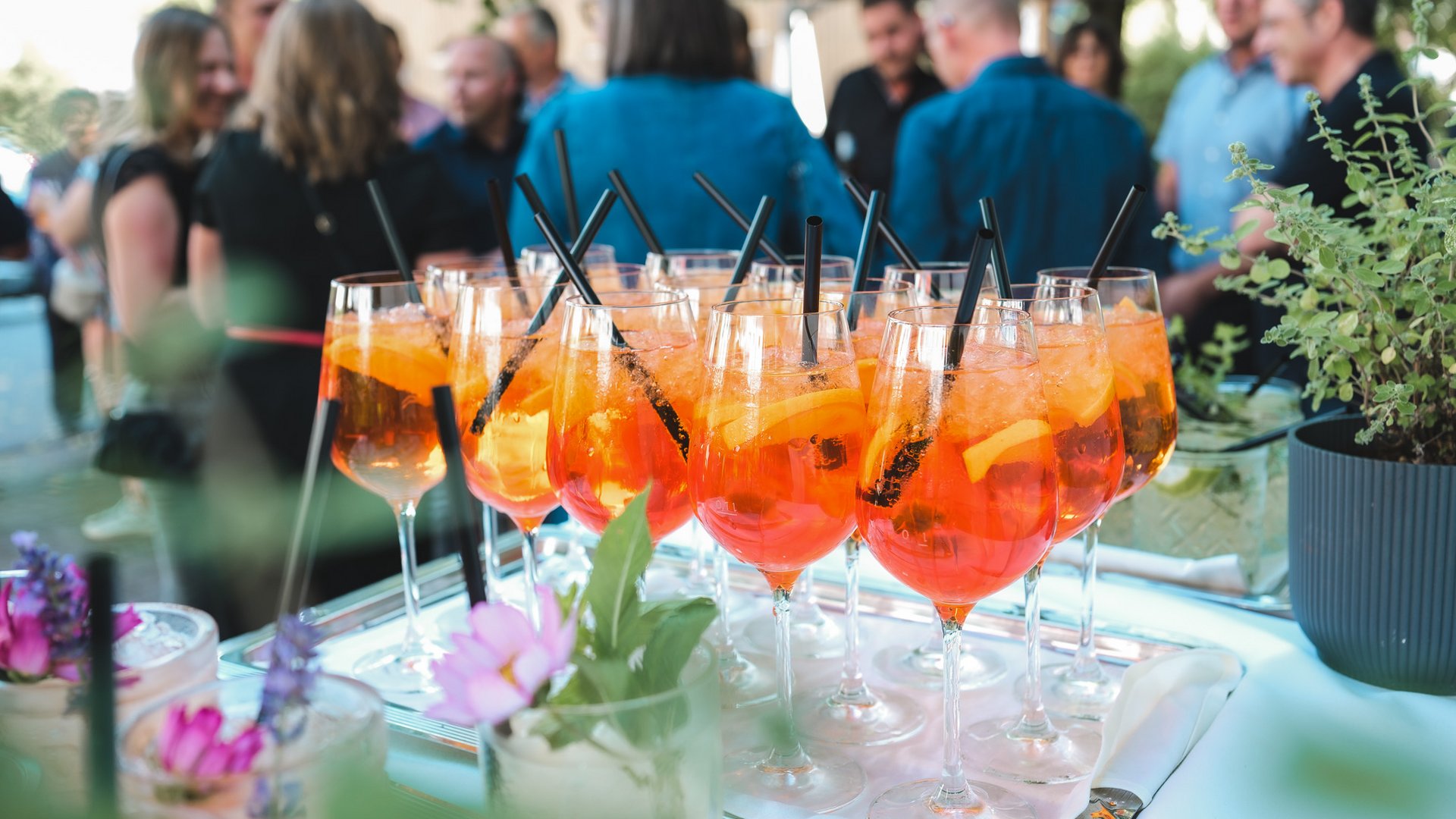 Cuisine & Culinary Delights in the Upper Palatinate Glasses of orange drinks on a tray at an outdoor garden party