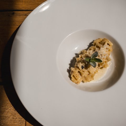 Kulinarik & Genuss in der Oberpfalz Kleine Portion Pasta mit einer cremigen Sauce und Kräutern auf weißem Teller
