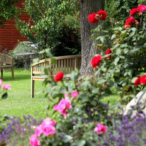 Looking for somewhere for conferences in Bavaria? Garden with blooming roses and two wooden benches under trees