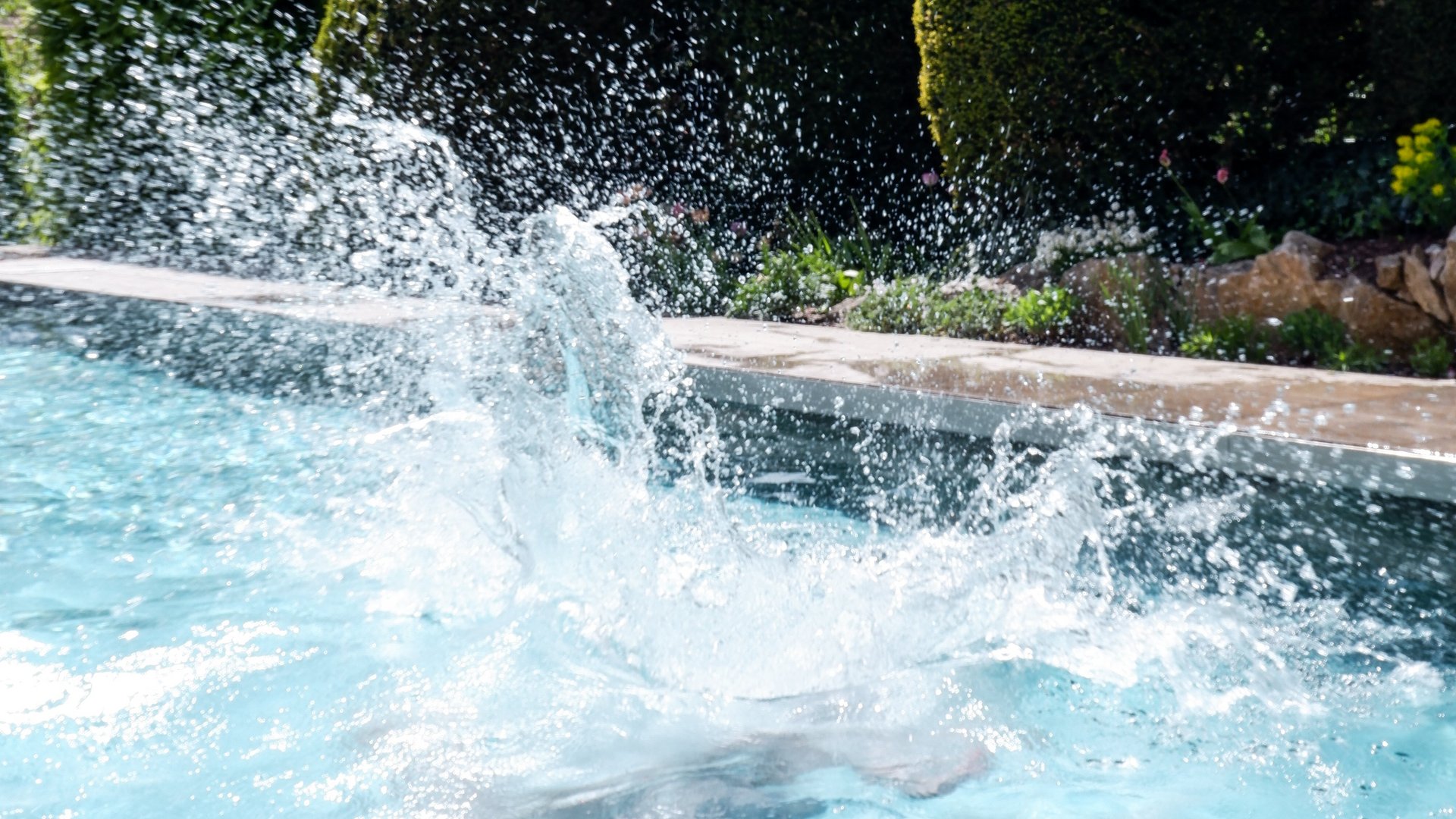 Day wellness in Upper Palatinate Splashing water in pool with shaped bushes in the background