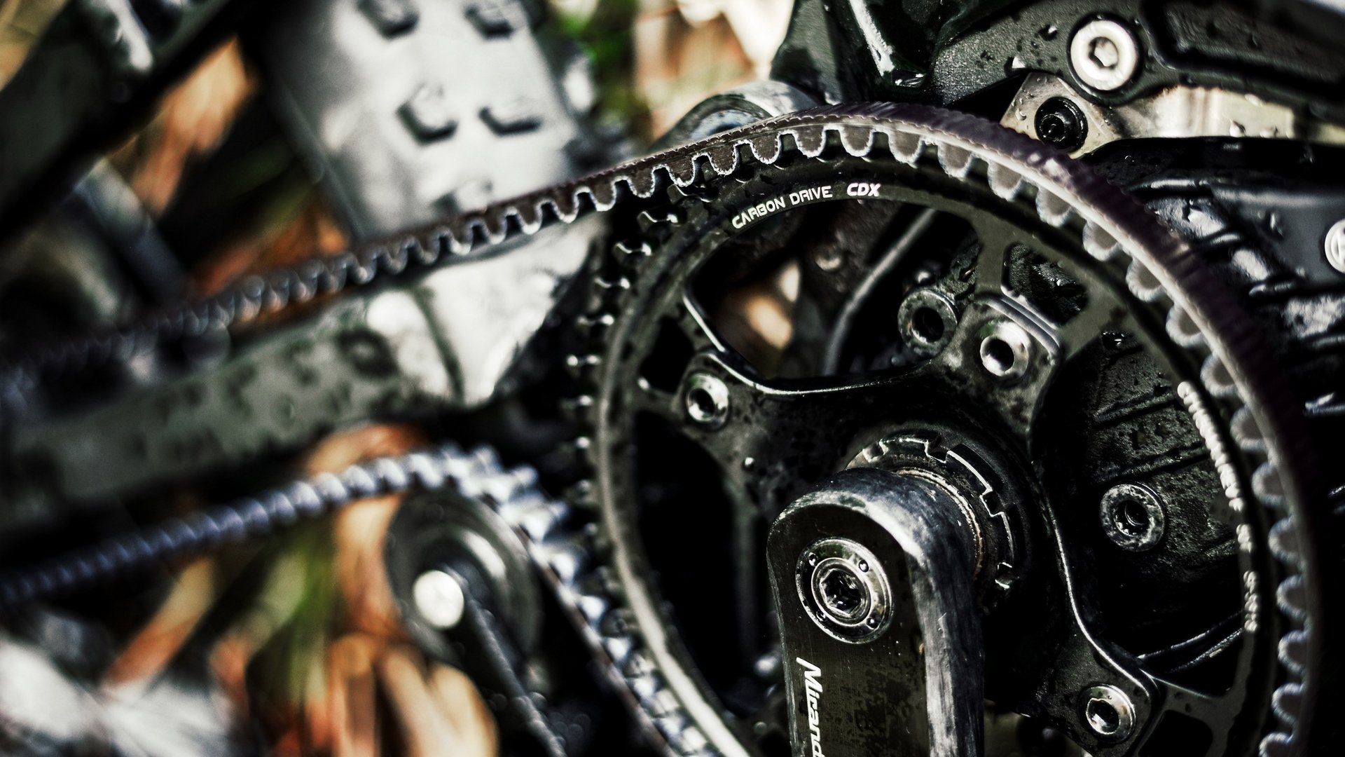 Hotel mit Fahrradverleih in Bayern gesucht? Nahaufnahme eines Fahrradantriebs mit Carbon Drive Riemen