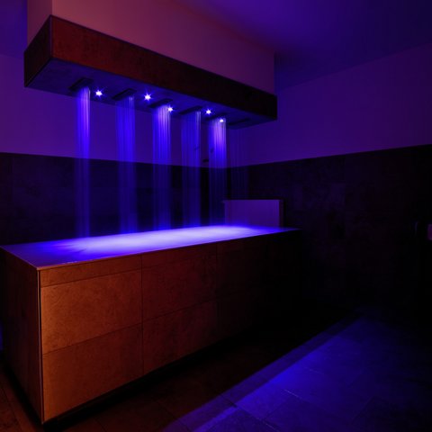 Day wellness in Upper Palatinate Modern shower with blue illuminated water jets above bathtub