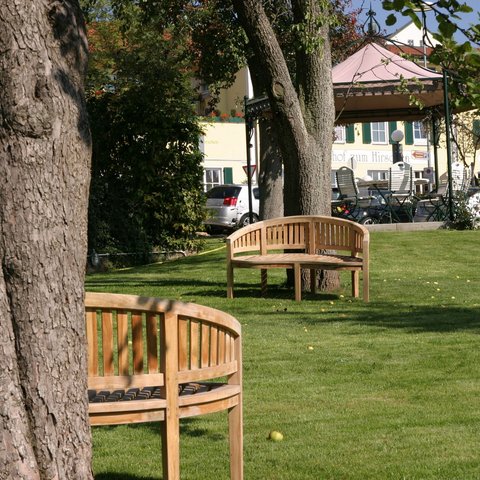 Looking for somewhere for conferences in Bavaria? Wooden benches in park on green grass under trees on a sunny day