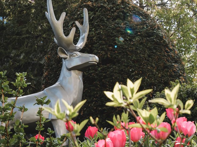 Romantik Hotel Hirschen: Bildergalerie Silberne Hirschskulptur umgeben von grünen Pflanzen und pinken Tulpen im Garten