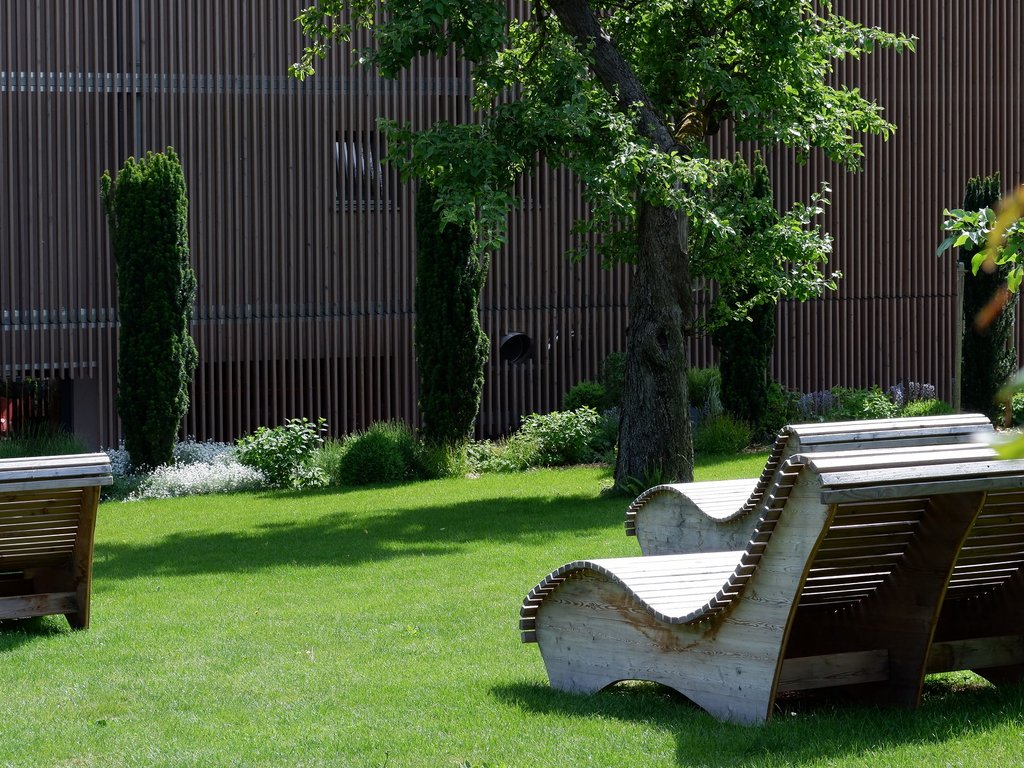 Wellness Wooden lounge chairs in park with trees on green grass near modern building