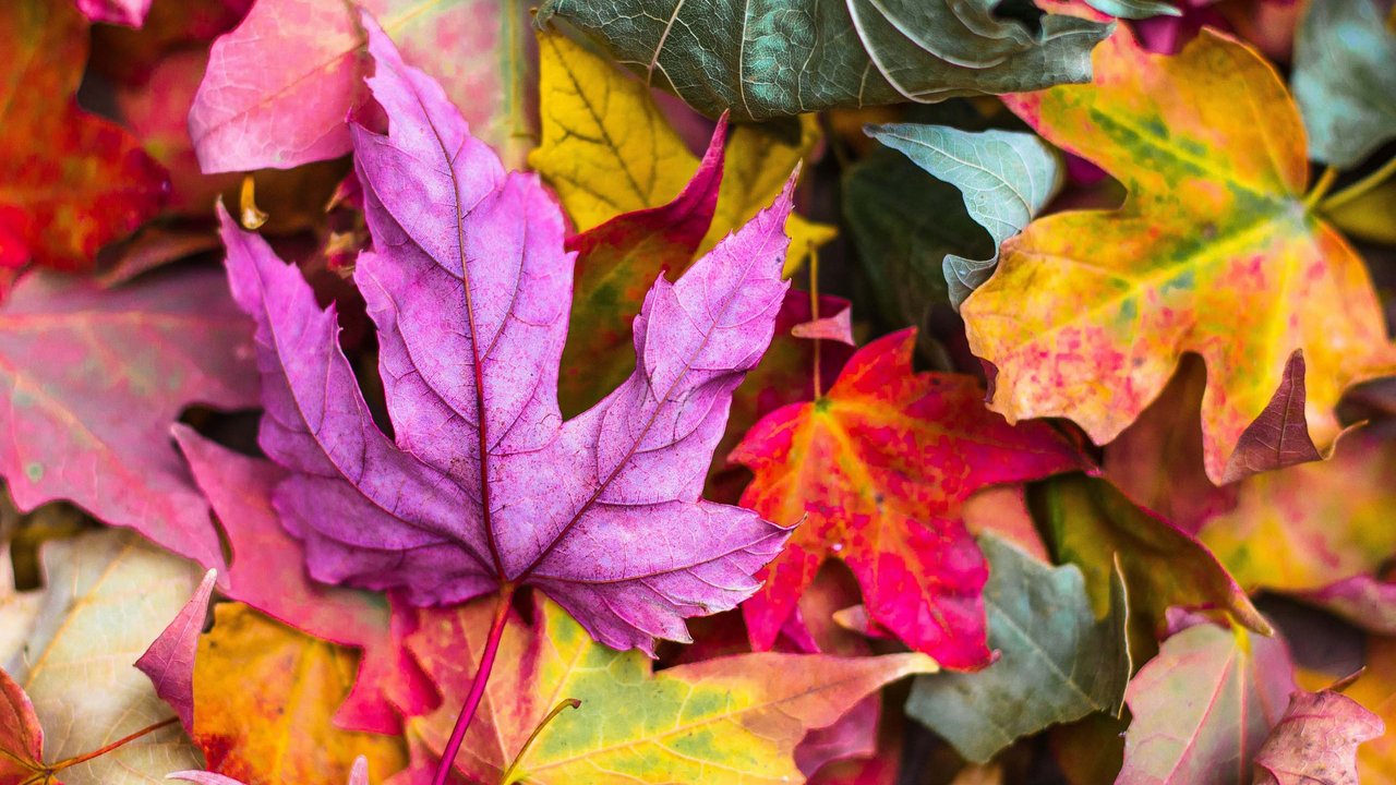 Herbst im Romantik Hotel Hirschen