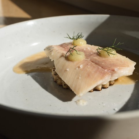 Fine Dining & Gourmet Cuisine in the Upper Palatinate Fish fillet with dill and small dollops on a bed of vegetables, served with light sauce