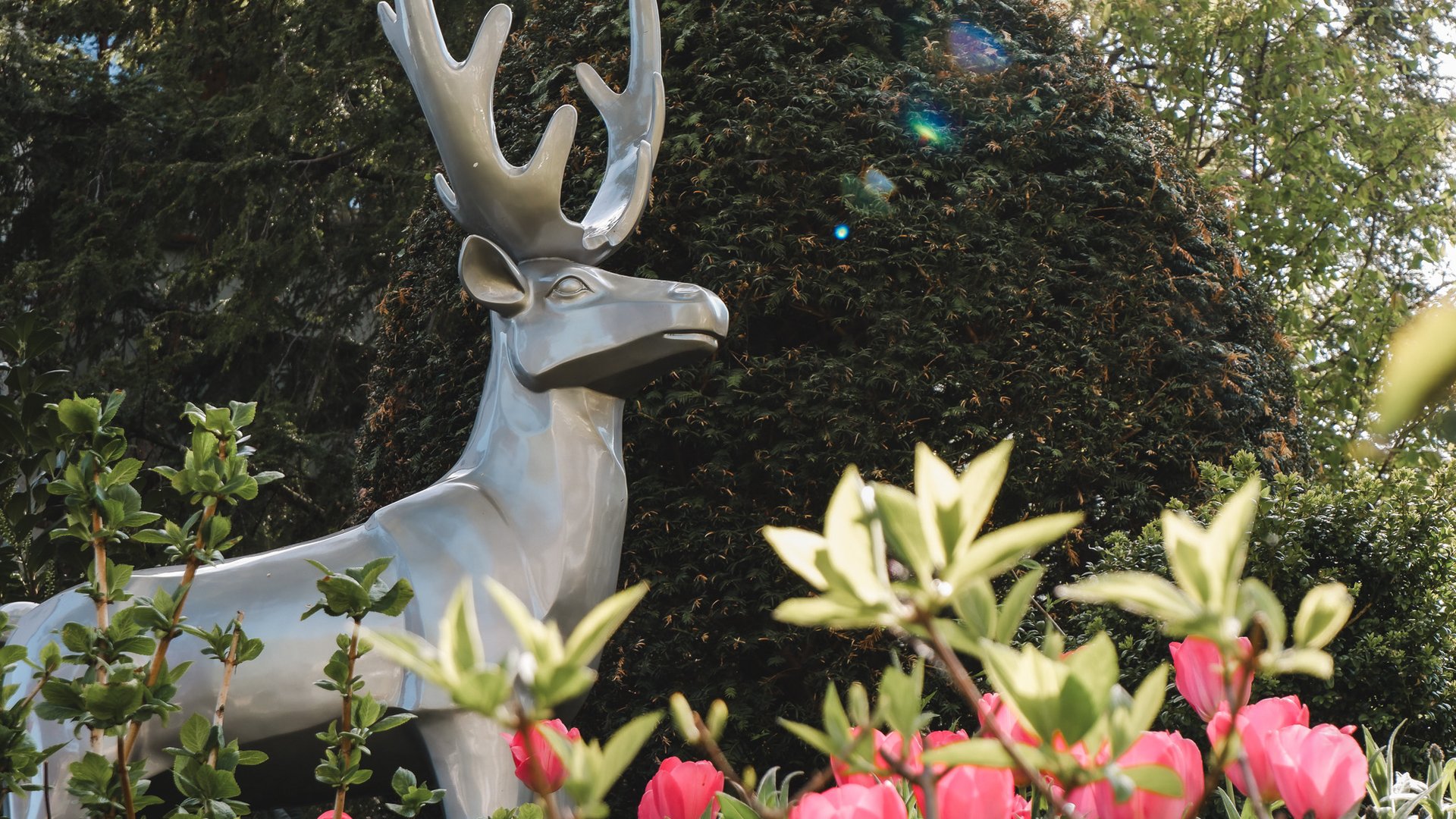Home Silberne Hirschskulptur umgeben von grünen Pflanzen und pinken Tulpen im Garten