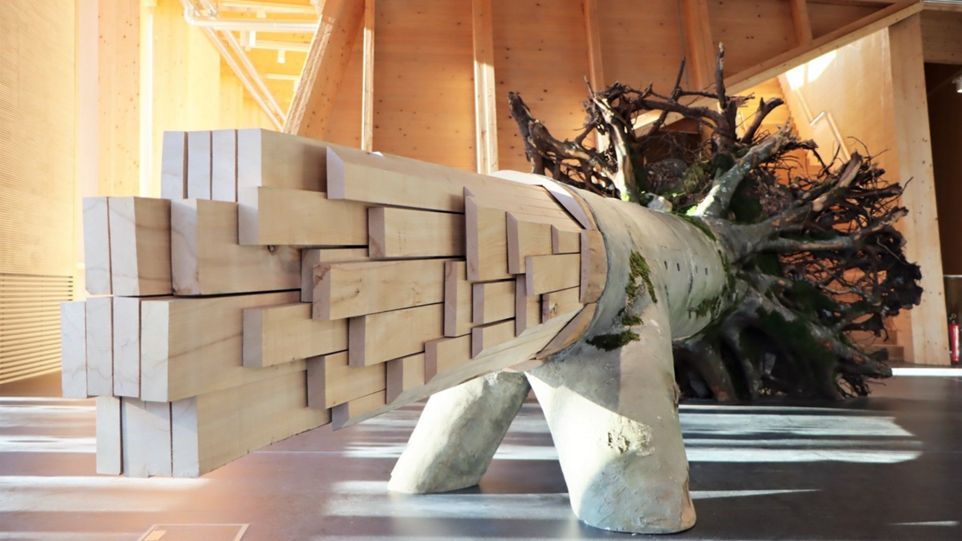 Hotels in Regensburg und Umgebung: kultur-trächtig! Foto: NAWAREUM