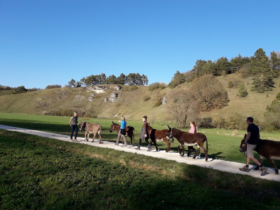 Tagungshotel mit Events gesucht? Menschen führen Esel auf einem Weg in hügeliger Landschaft unter klarem Himmel