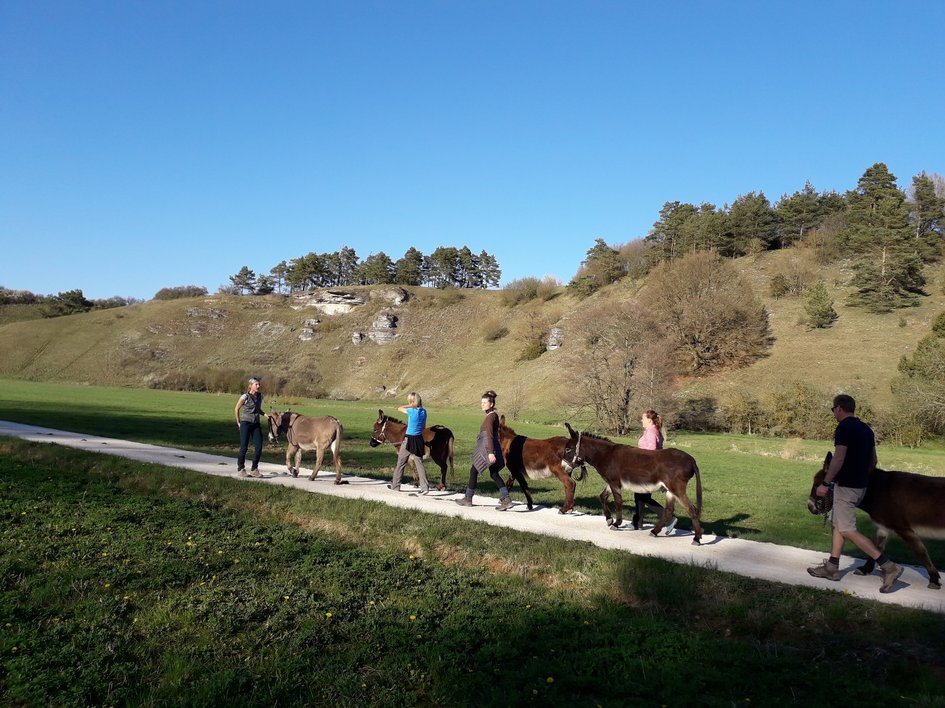 Tagungshotel mit Events gesucht? Menschen führen Esel auf einem Weg in hügeliger Landschaft unter klarem Himmel