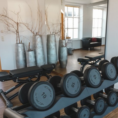 Fitnessraum Dumbbells and workout bench in bright gym with large vases and mirror