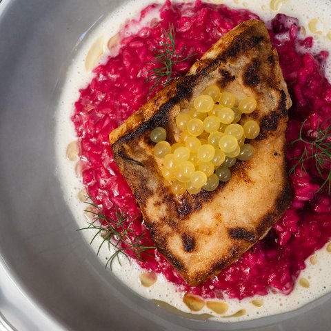 Gasthof & Restaurant in Parsberg mit regionaler Küche Gebratenes Filet mit gelben Perlen auf pinkem Risotto, Dill und heller Sauce