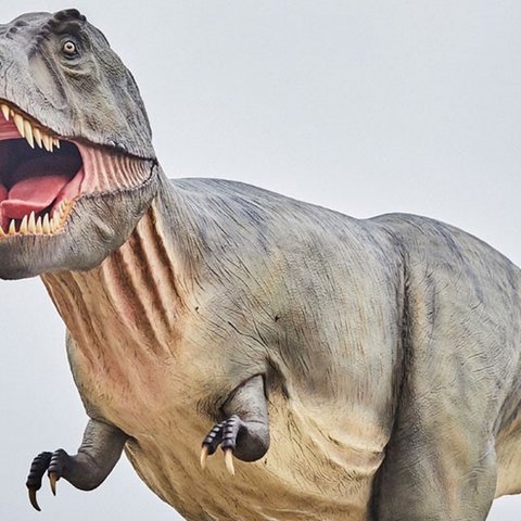 Hotels in Regensburg und Umgebung: kultur-trächtig! Lebensechte Tyrannosaurus Rex Statue mit offenem Maul