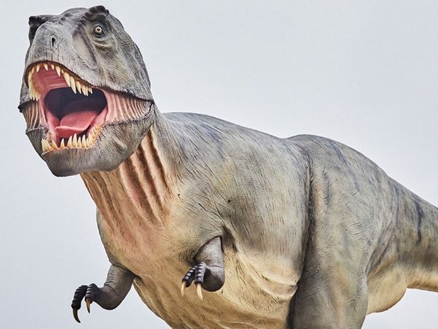 Romantik Hotel Hirschen: picture gallery Lifelike Tyrannosaurus Rex statue with open mouth