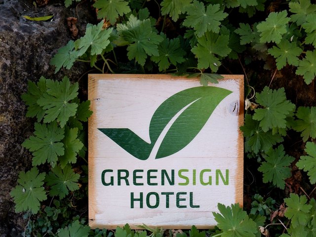 Romantik Hotel Hirschen: Bildergalerie Holzschild Green Sign Hotel umgeben von grünen Blättern