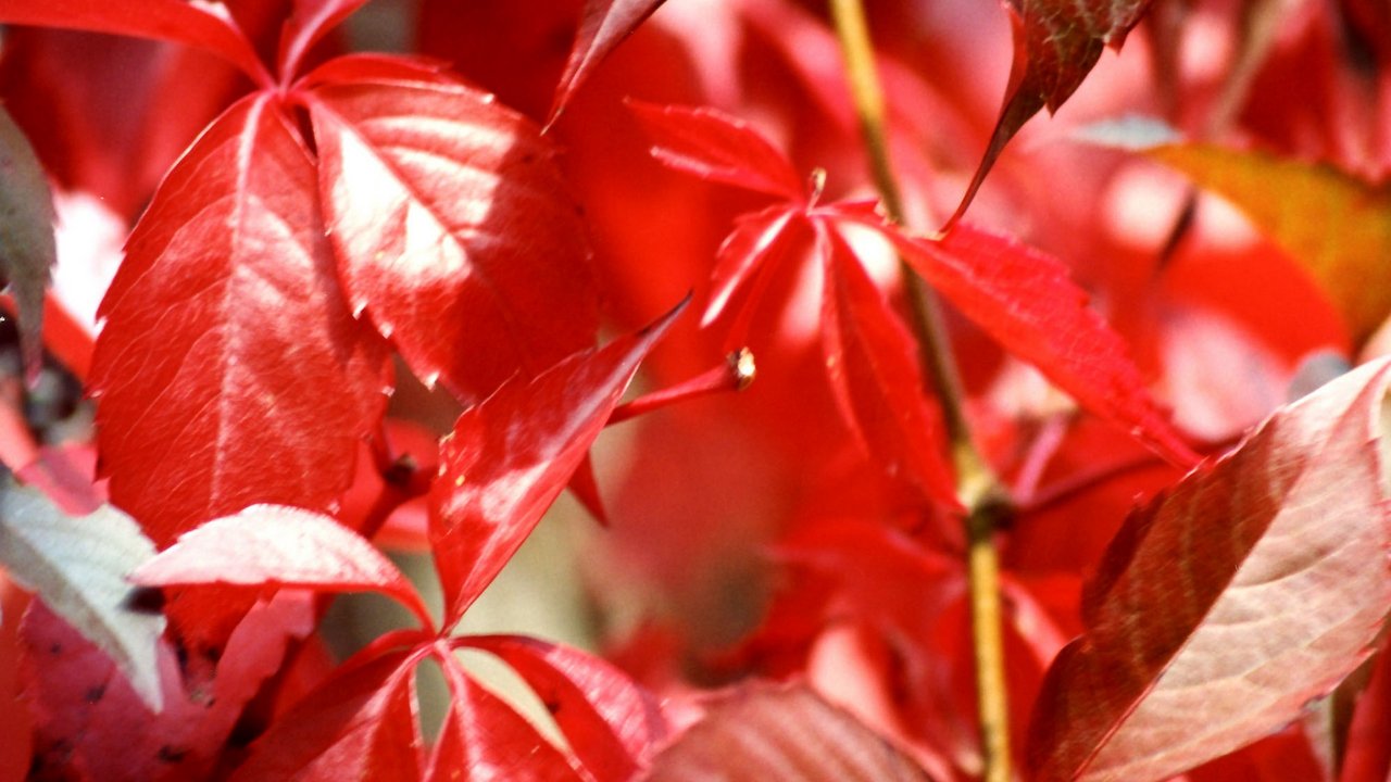 Herbstliebe in der Oberpfalz