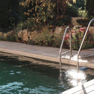 Romantik Hotel Hirschen: Gastgeber & Werte Pool mit Edelstahlleiter und Pflanzen im Hintergrund am sonnigen Tag