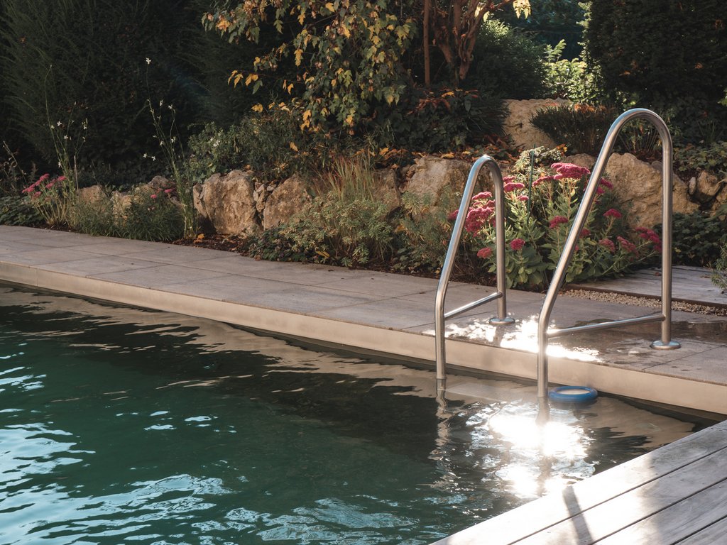 Wellness Pool mit Edelstahlleiter und Pflanzen im Hintergrund am sonnigen Tag