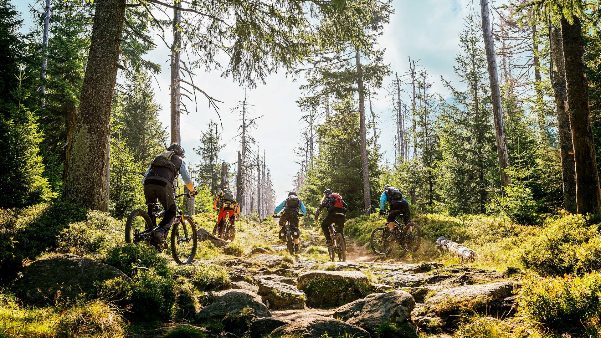 Tagungshotel mit Events gesucht? Fünf Mountainbiker fahren auf einem felsigen Waldweg bergauf