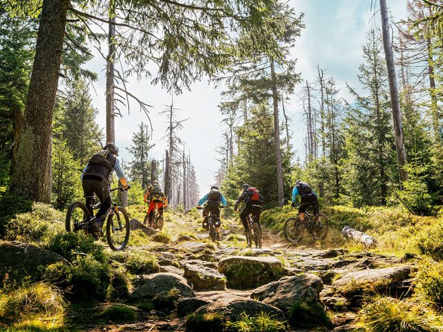 Romantik Hotel Hirschen: Bildergalerie Fünf Mountainbiker fahren auf einem felsigen Waldweg bergauf