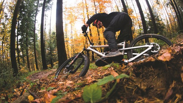 Romantik Hotel Hirschen: Blog Mountainbiker fährt durch herbstlichen Wald auf einem Trail