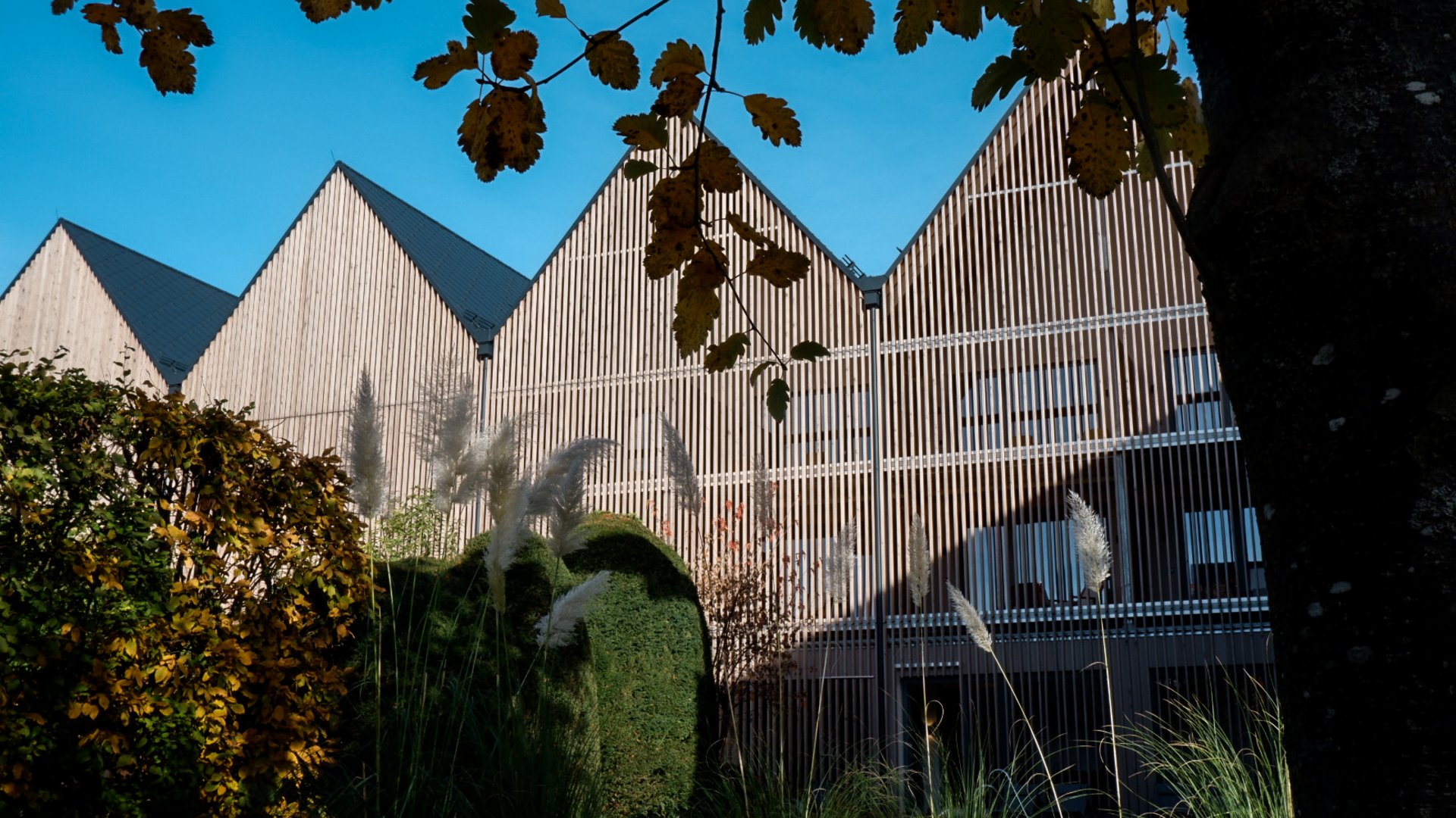 Hiking in Upper Palatinate: Active in nature Modern wooden houses with pitched roofs and gardens under blue sky