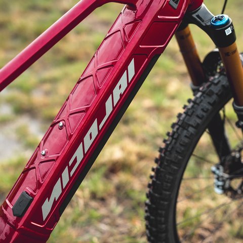 Looking for a hotel with bike rental in Bavaria? Close-up of red Wildcat electric bike frame and front tire