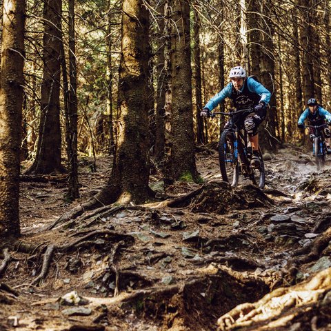 Hotel mit Fahrradverleih in Bayern gesucht? Zwei Mountainbiker fahren durch einen bewaldeten, wurzeligen Trail.