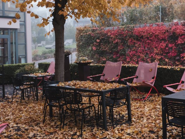 Romantik Hotel Hirschen: Bildergalerie Herbstlicher Außenbereich mit Tischen, Stühlen und gelben Blättern auf dem Boden