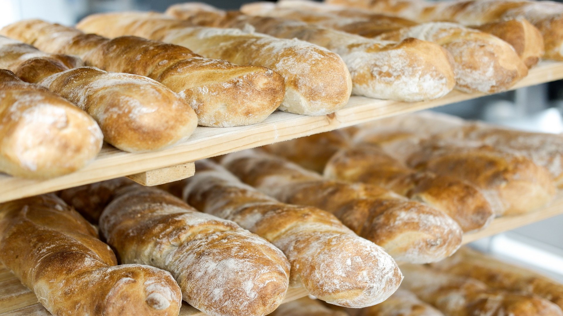 Nachhaltige Hotels in Deutschland gesucht? Frisch gebackene Baguettes auf Holzregalen in einer Bäckerei
