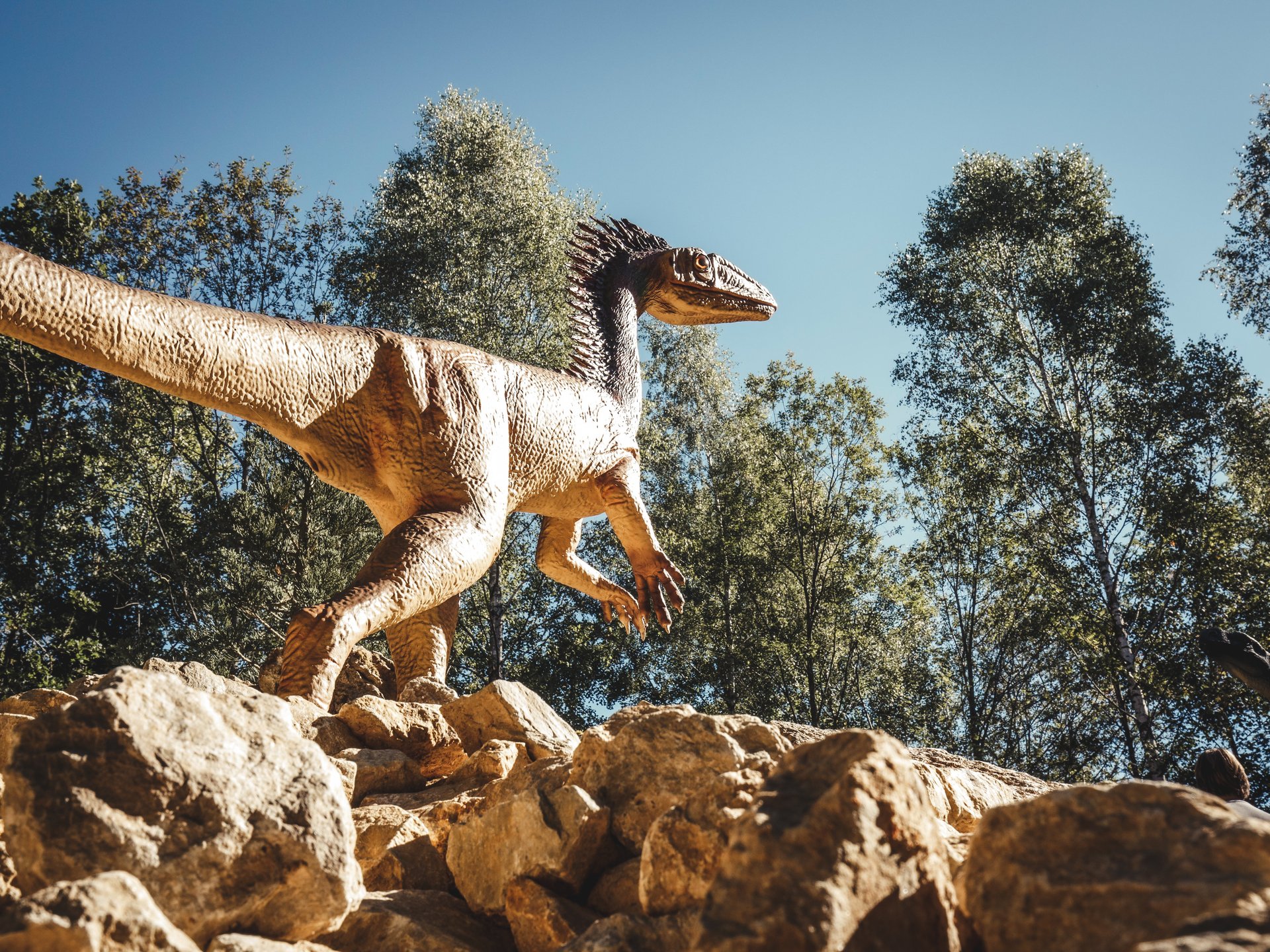 Wandern, Radfahren & Natur erleben Dinosaurier-Skulptur auf Felsen vor Bäumen unter blauem Himmel