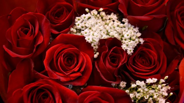 Romantik Hotel Hirschen: Blog Nahaufnahme eines Blumenstraußes mit roten Rosen und weißen Schleierkraut