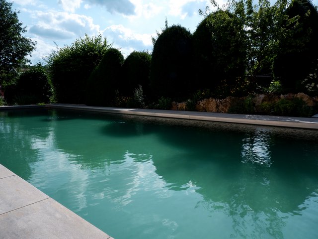 Romantik Hotel Hirschen: Bildergalerie Außenpool mit grünem Wasser und Bäumen im Hintergrund